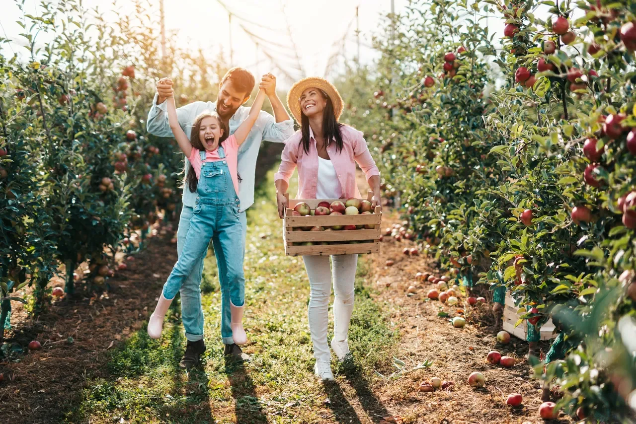 Things to Do in SoCal – October 2025 Edition