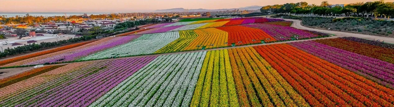 SoCal To-Do List: 5 Ways to Enjoy March Outdoors
