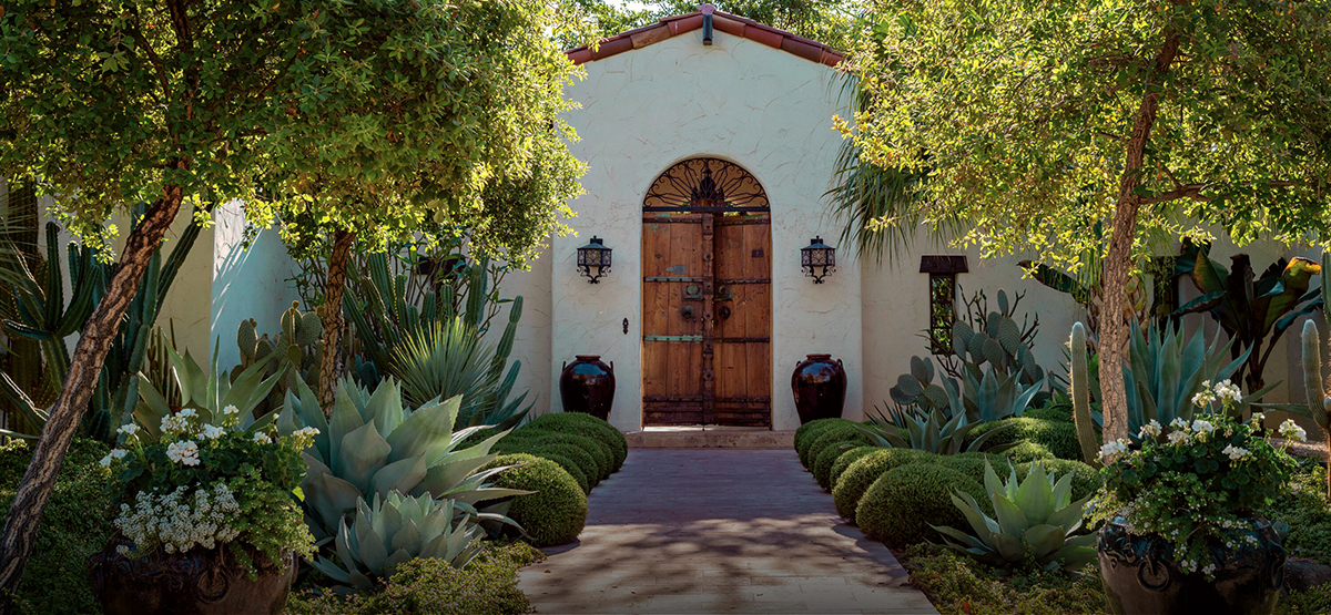 Water-Wise Gardening: How to Save Water Without Sacrificing Beauty