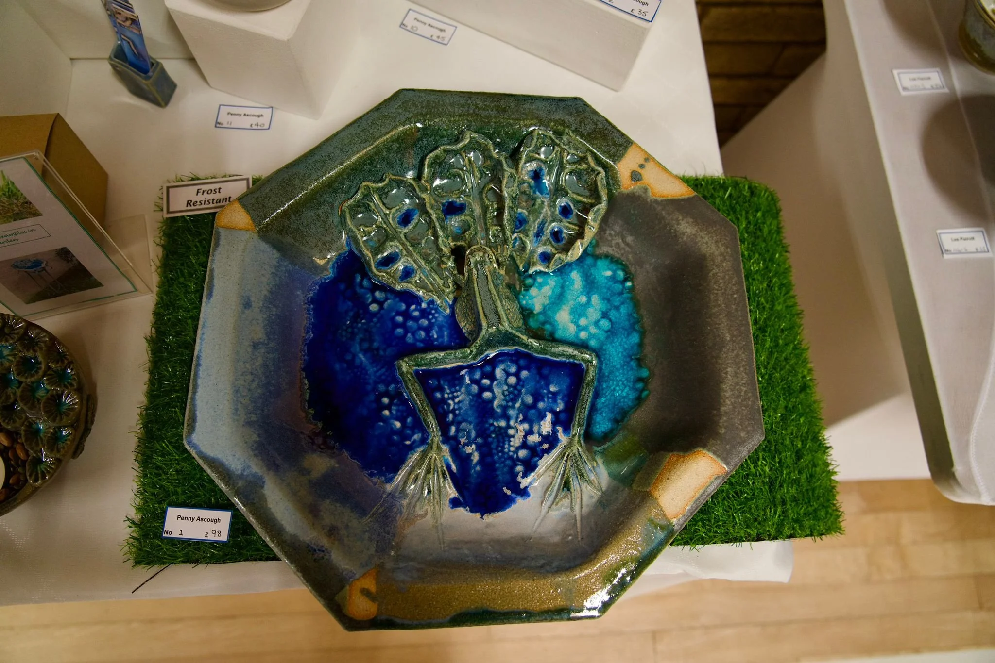 WhatsApp Image 2026-03-03 at 13.05.31.jpeg