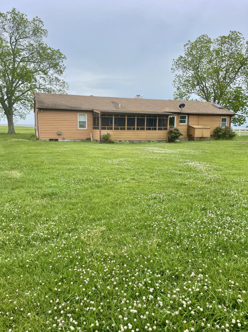 A house with a screened-in porch on a large green lawn with white flowers, flanked by two large trees, under a cloudy sky.