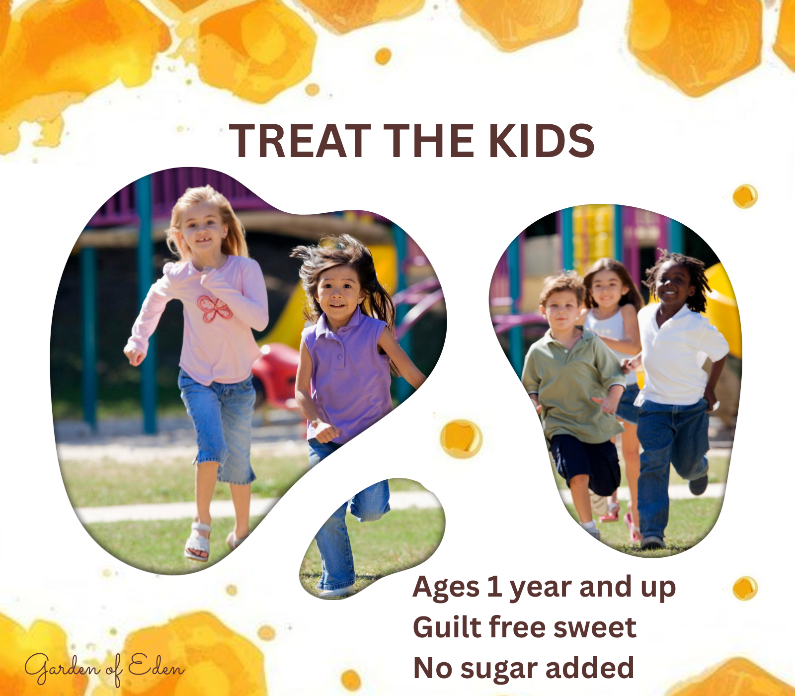 Allergy Free Snack Healthy Candy Treat for Kids.png