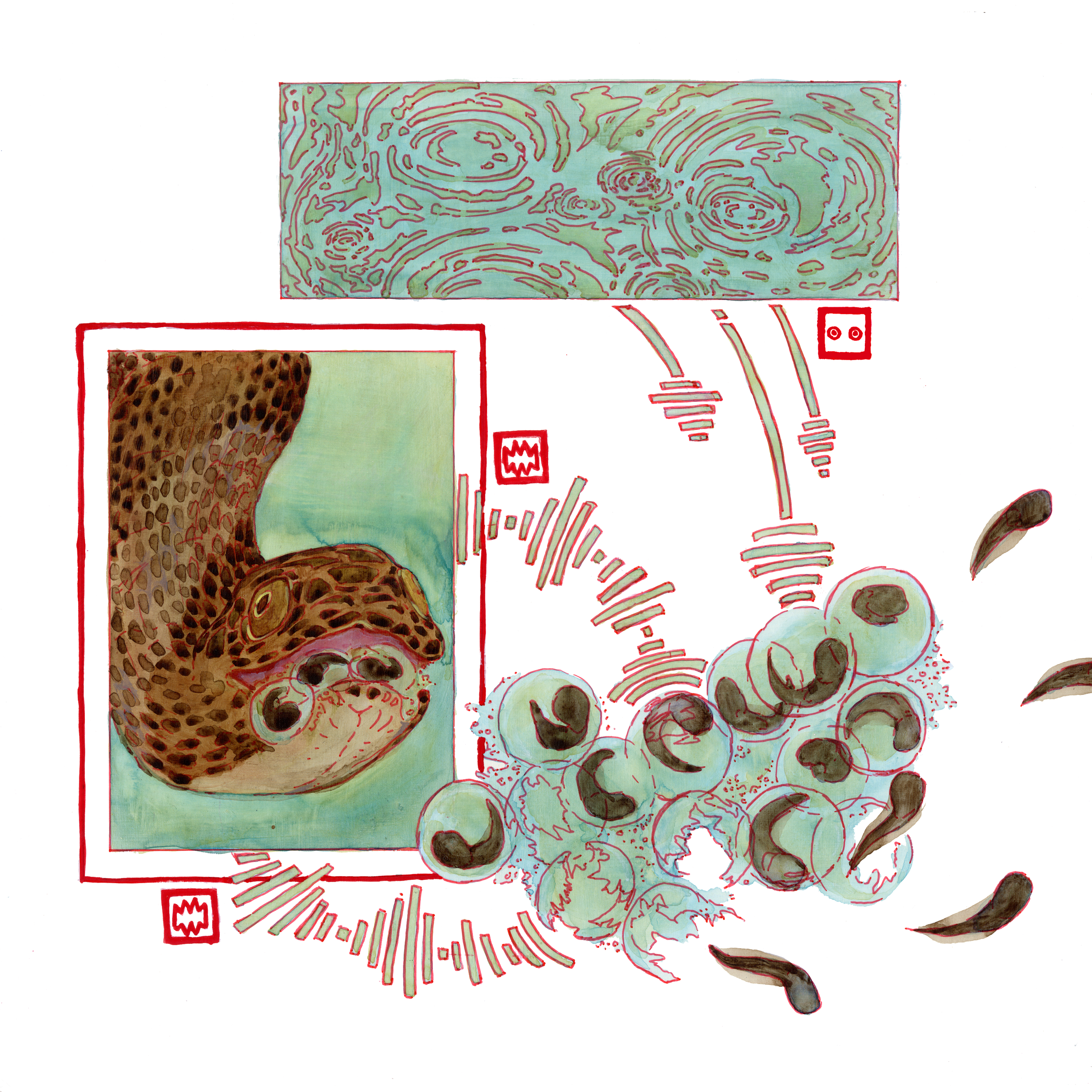 Page 6- Frogspawn/ Tadpole Touch