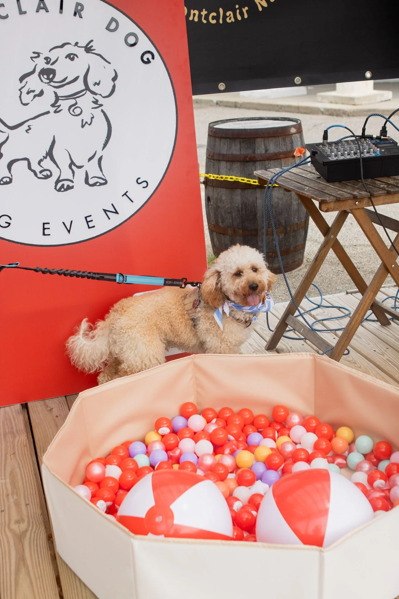 DogDaysOfSummer-065.jpg