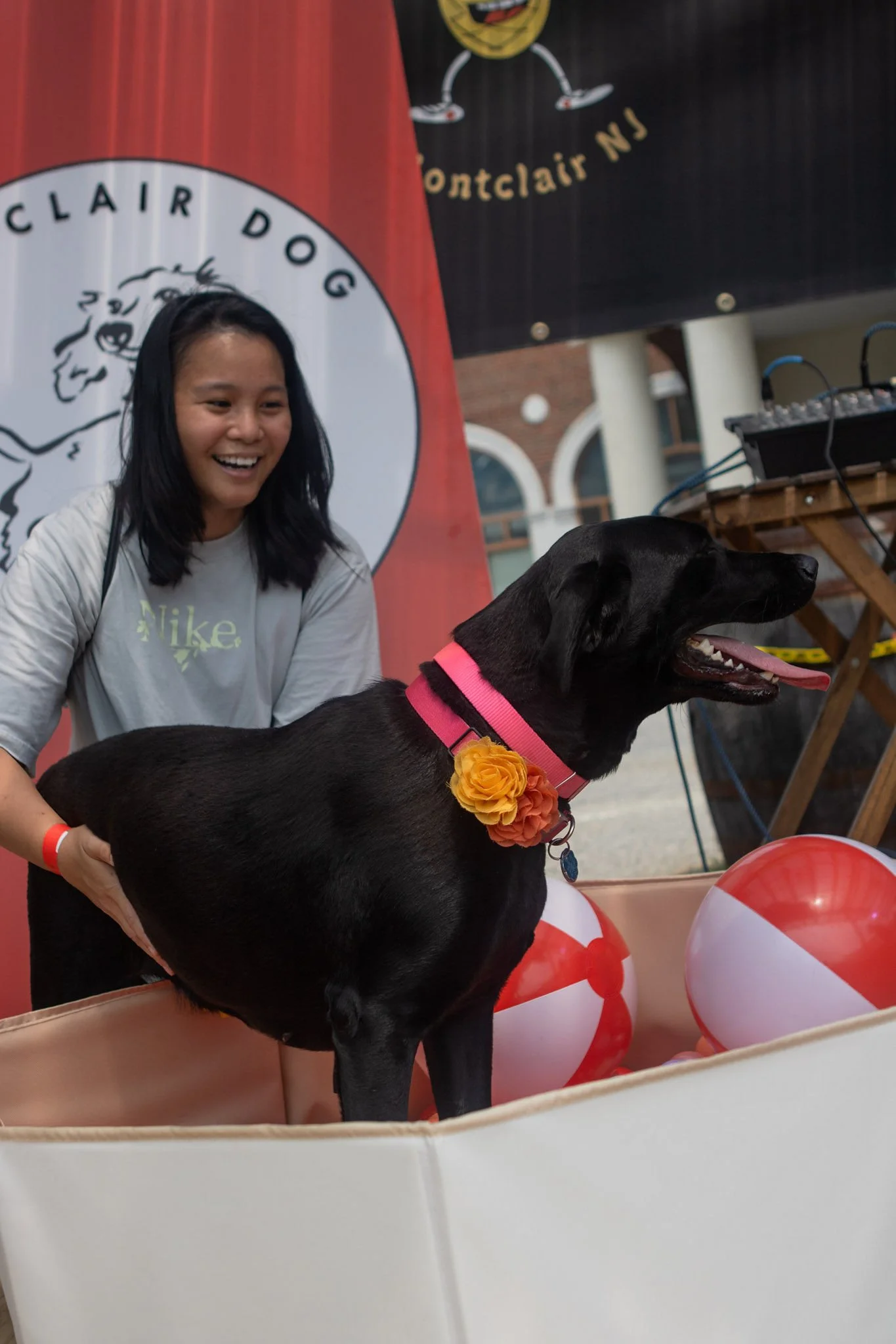 DogDaysOfSummer-186.jpg