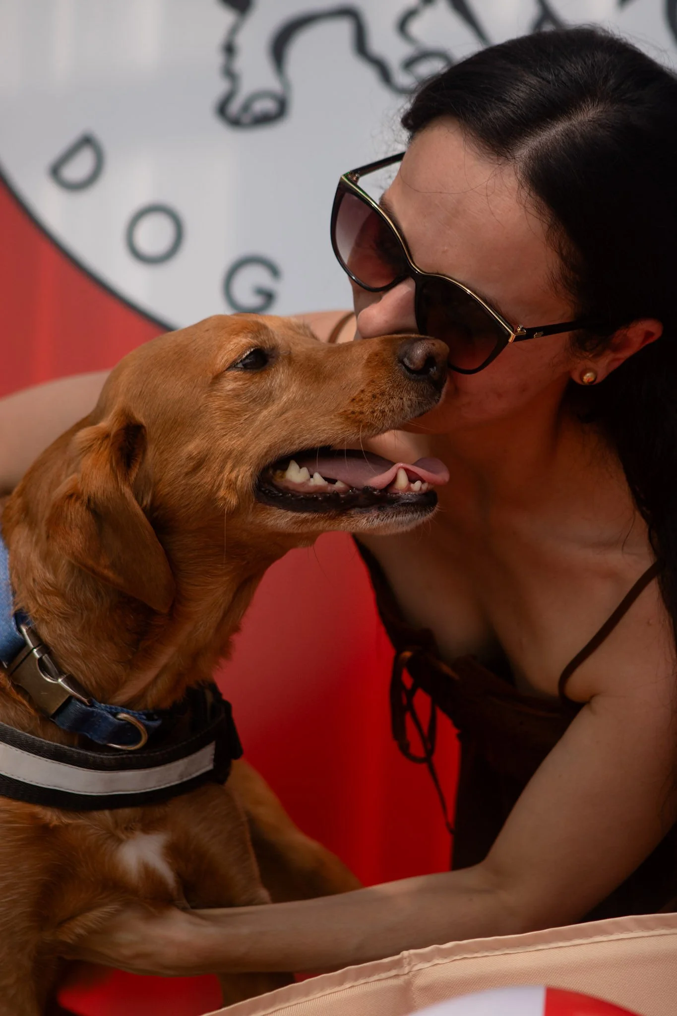 DogDaysOfSummer-193.jpg