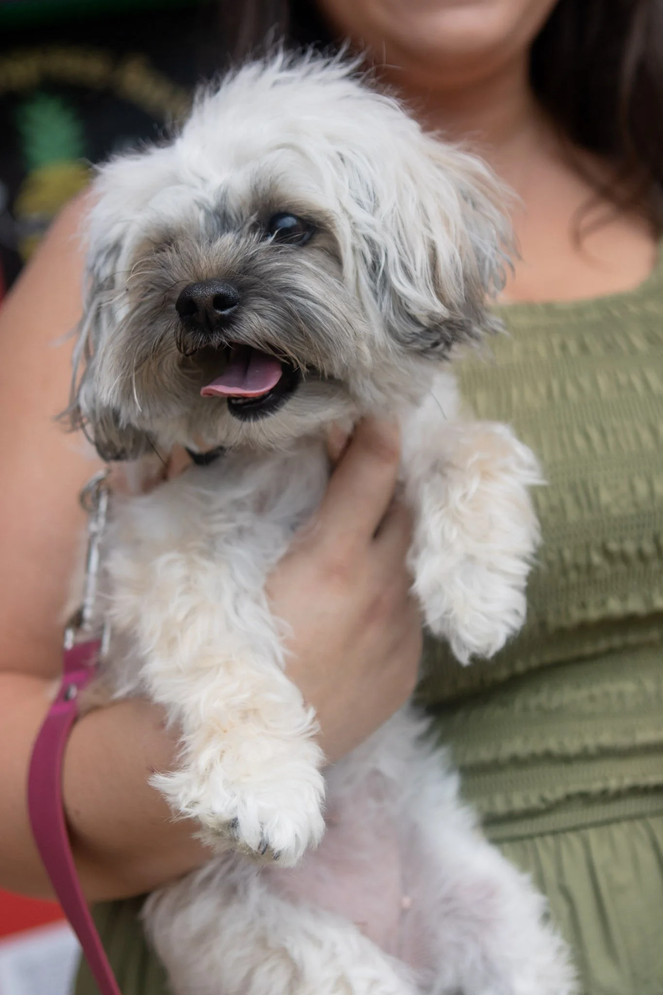 DogDaysOfSummer-099.jpg