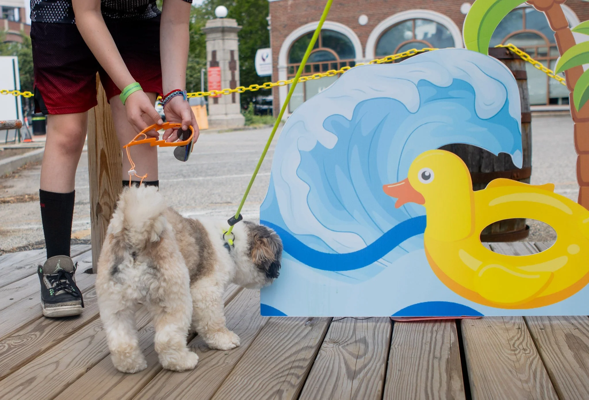 DogDaysOfSummer-084.jpg