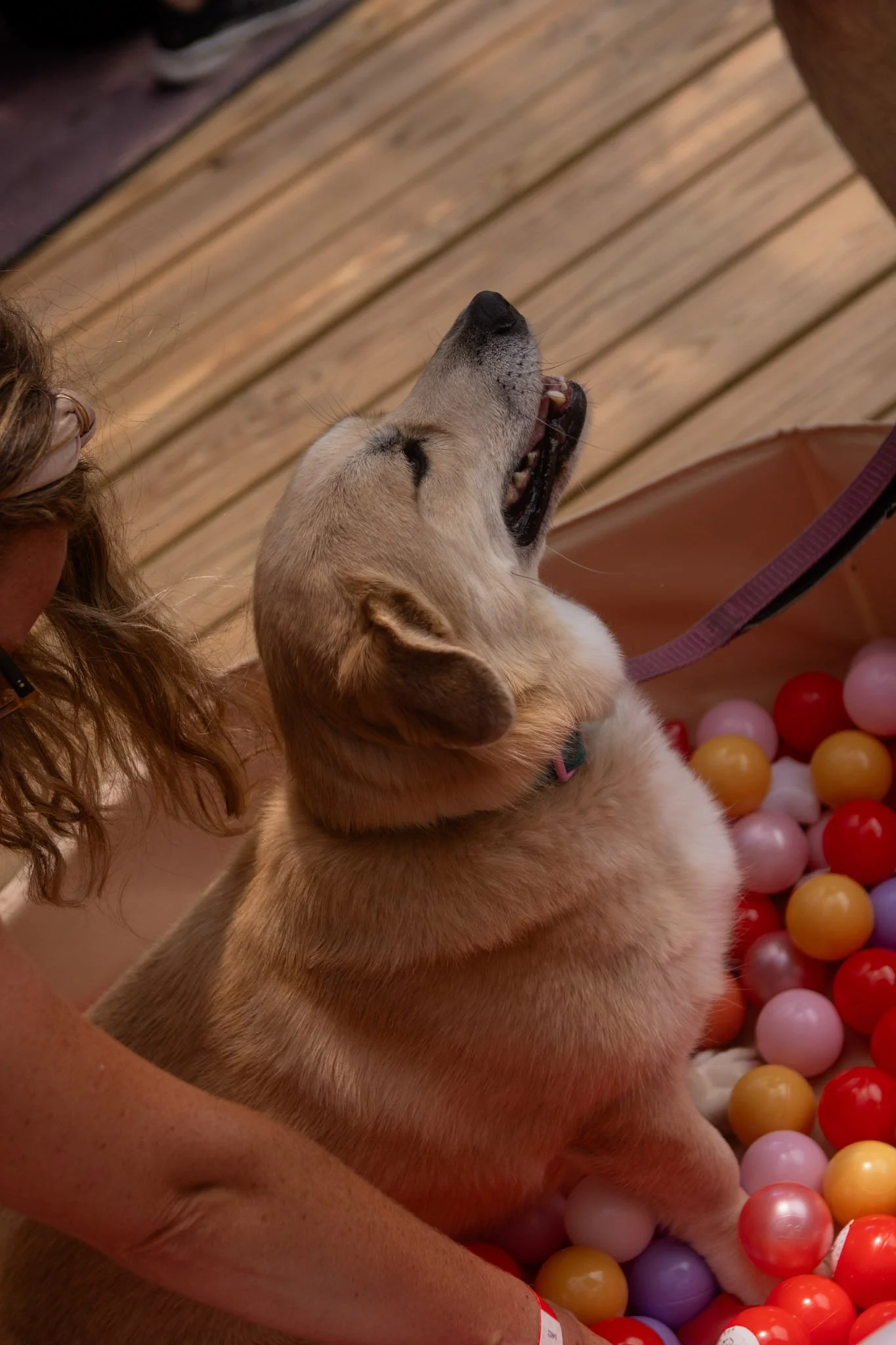 DogDaysOfSummer-169.jpg