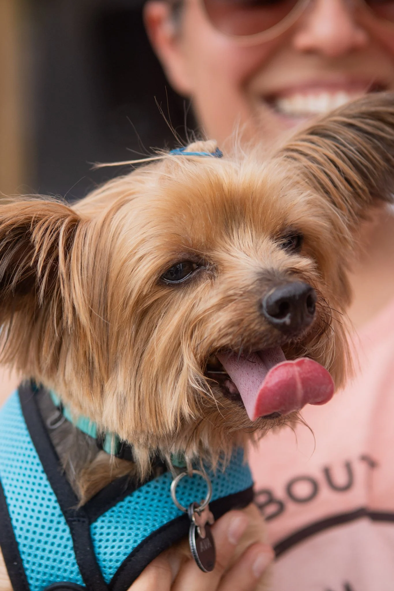DogDaysOfSummer-069.jpg