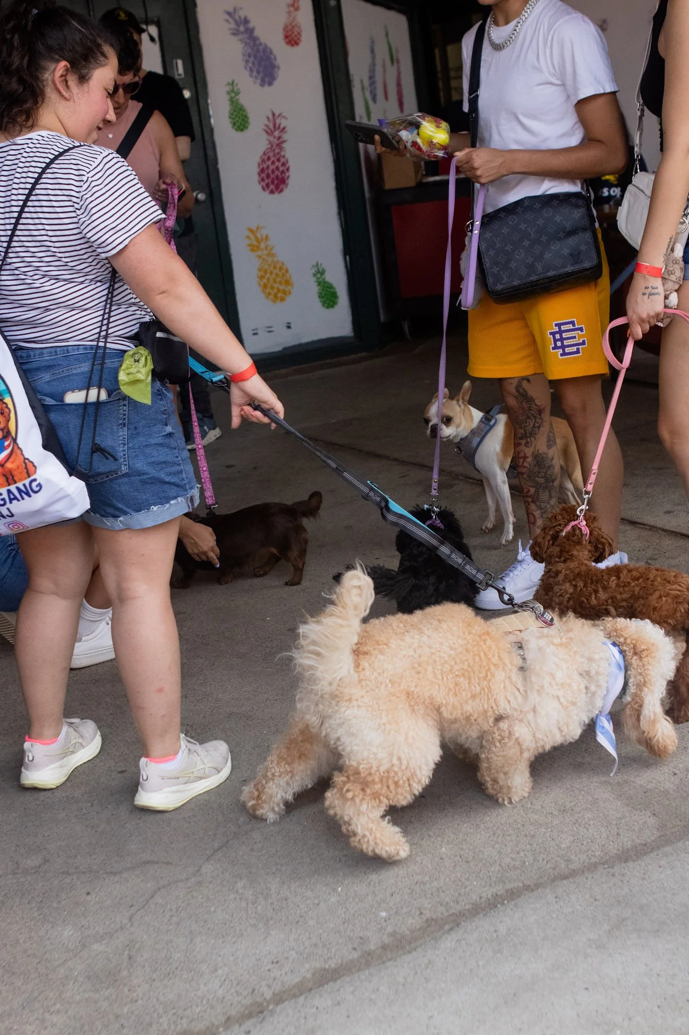 DogDaysOfSummer-156.jpg