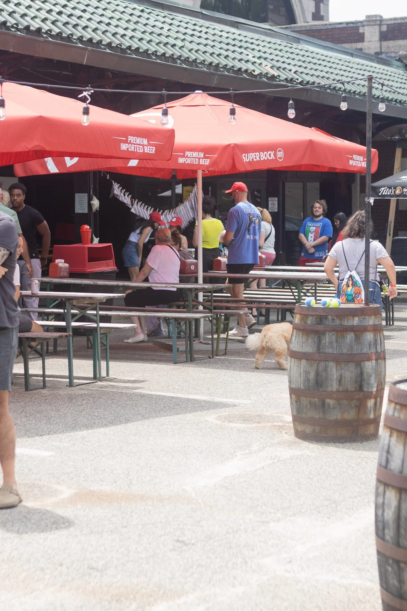 DogDaysOfSummer-073.jpg