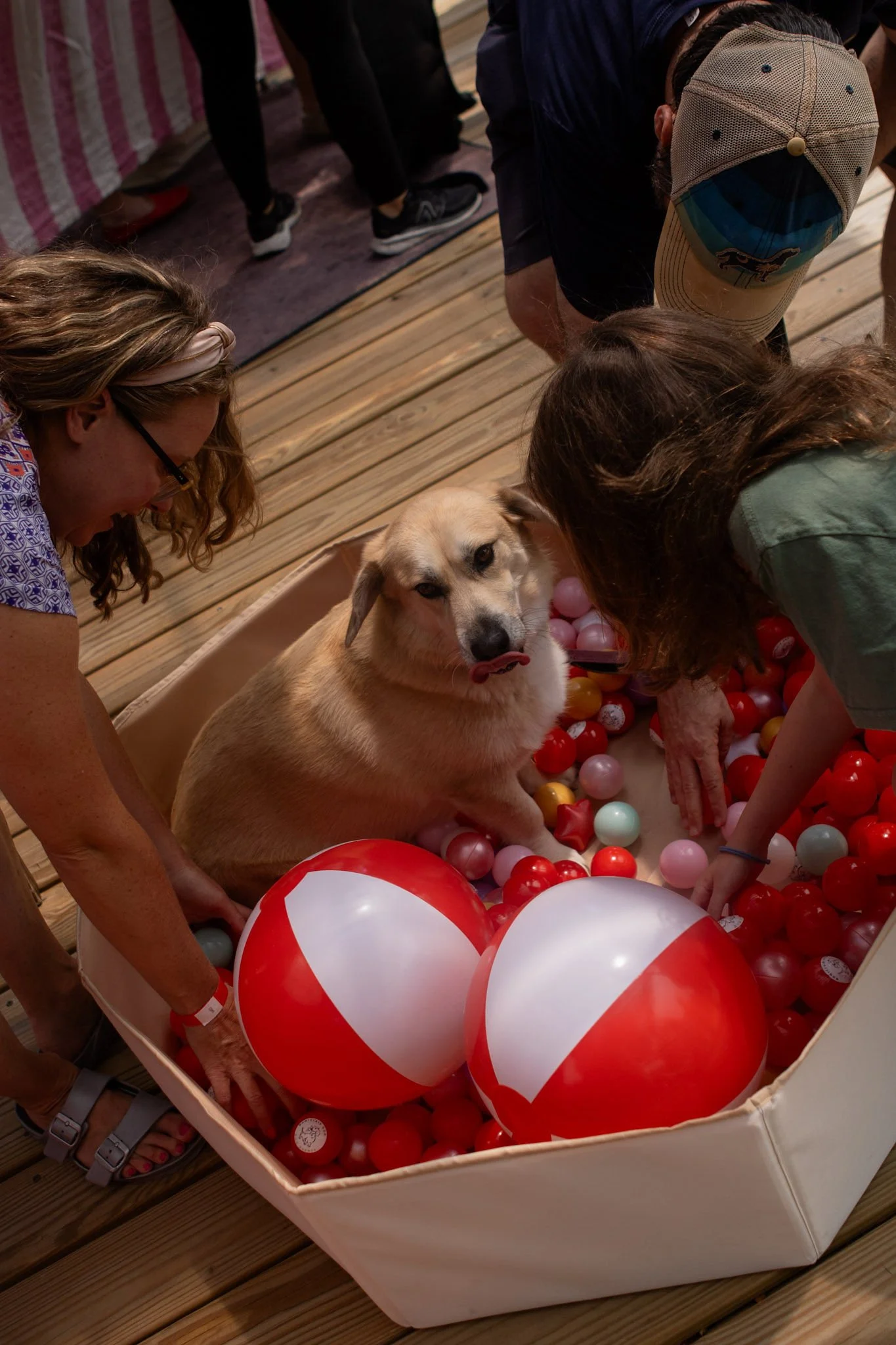 DogDaysOfSummer-168.jpg