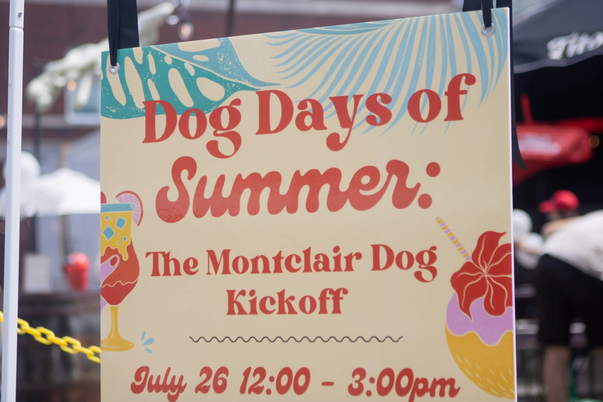 DogDaysOfSummer-003.jpg