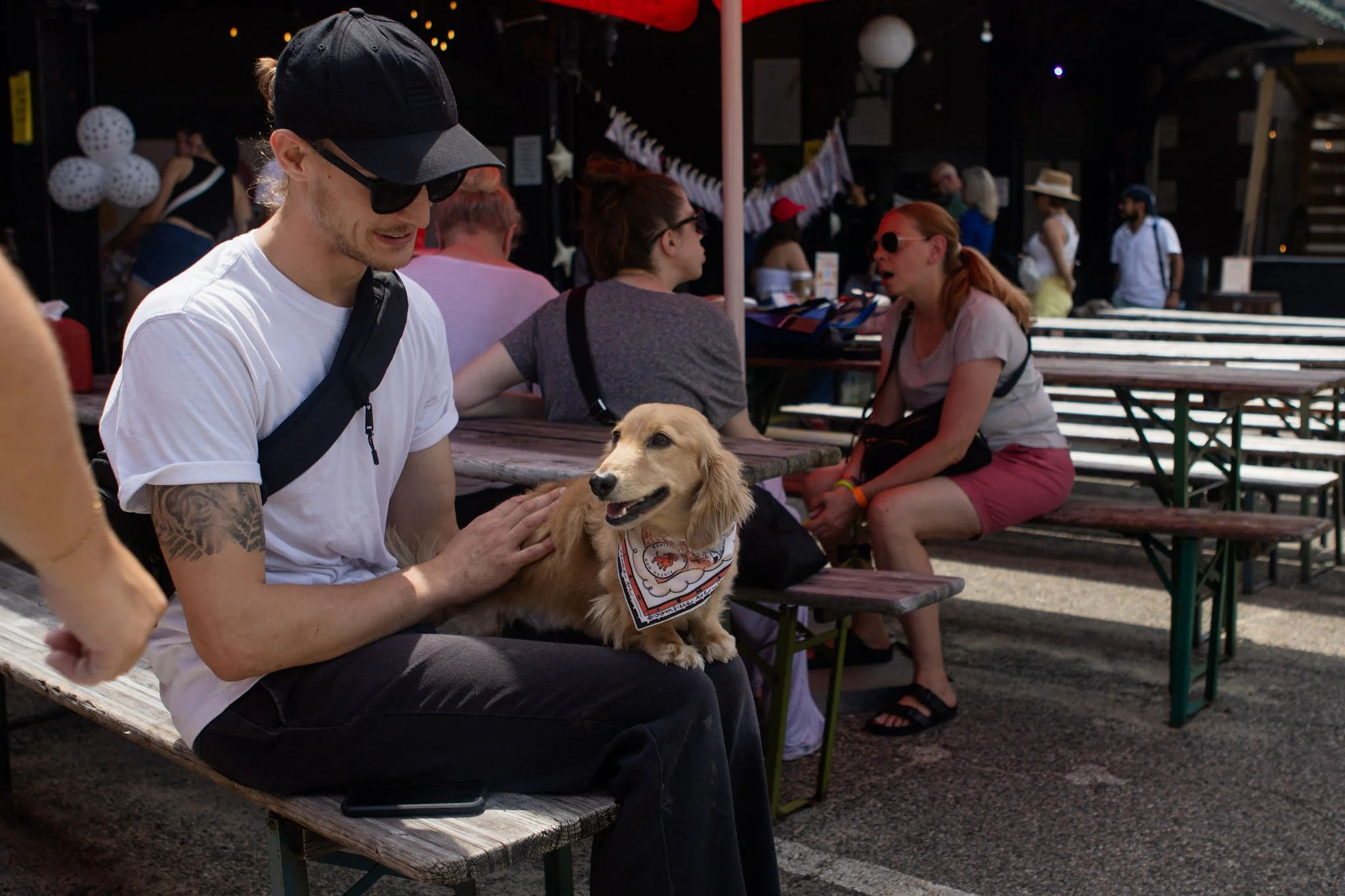 DogDaysOfSummer-150.jpg