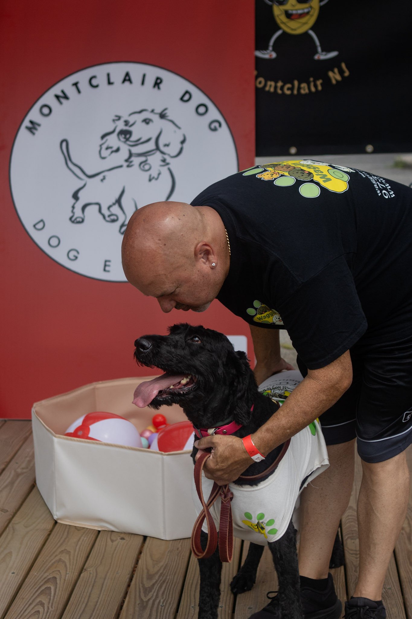 DogDaysOfSummer-089.jpg