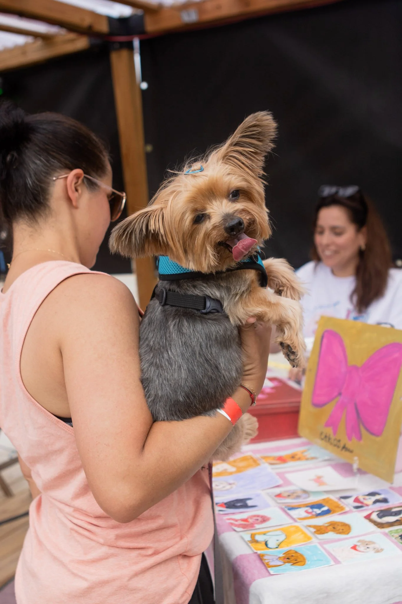 DogDaysOfSummer-066.jpg