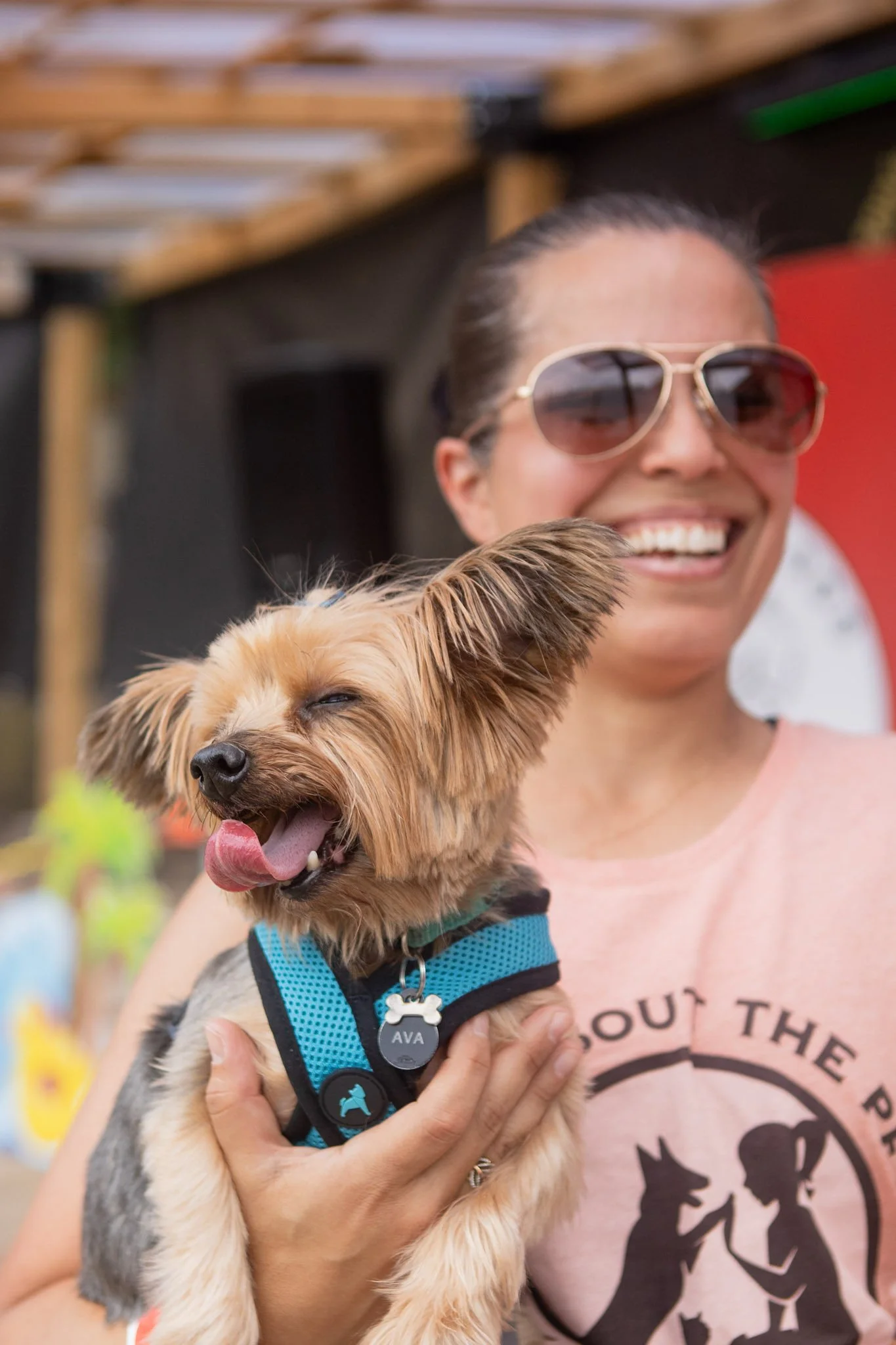 DogDaysOfSummer-068.jpg