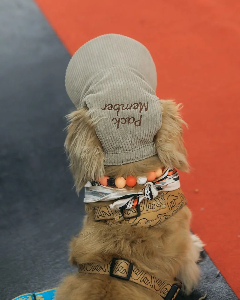 MontclairDogHauteDog-028.jpg