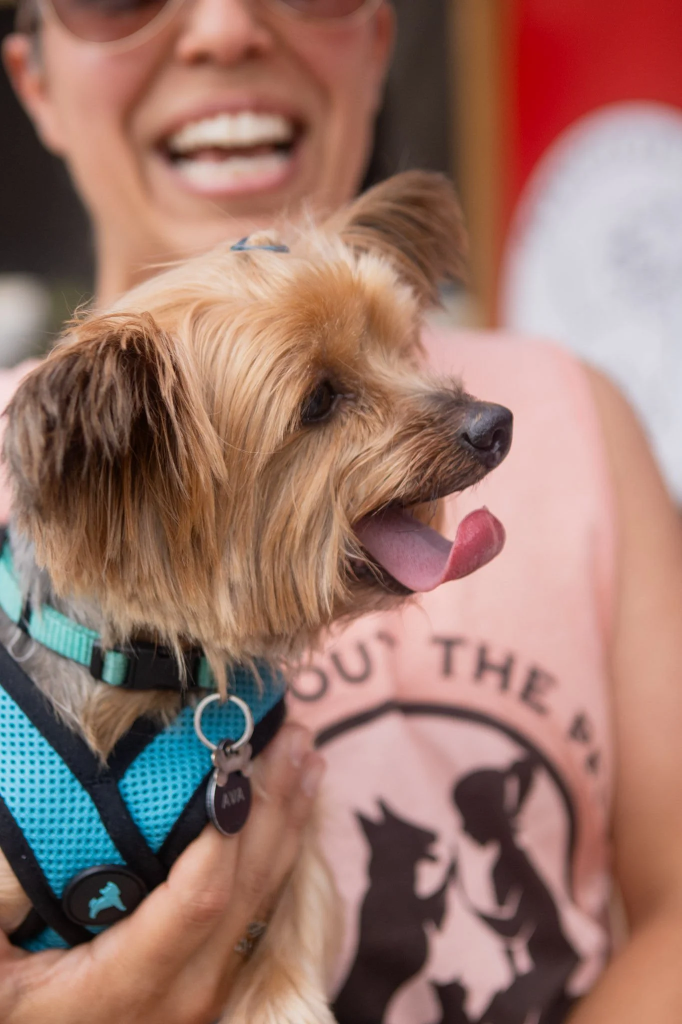 DogDaysOfSummer-067.jpg