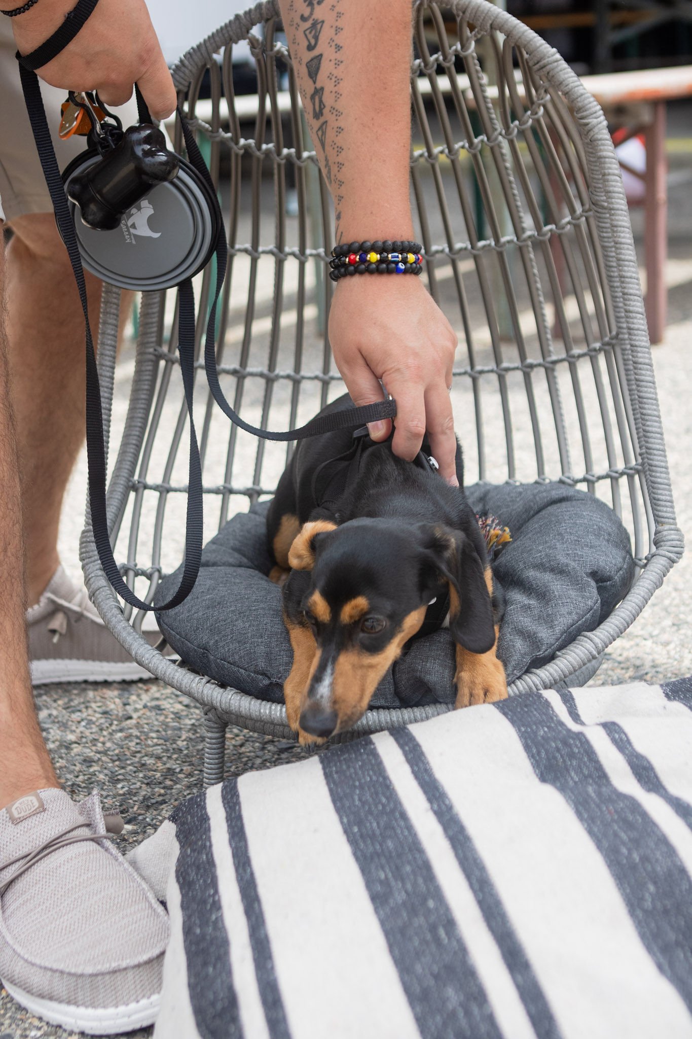 DogDaysOfSummer-075.jpg