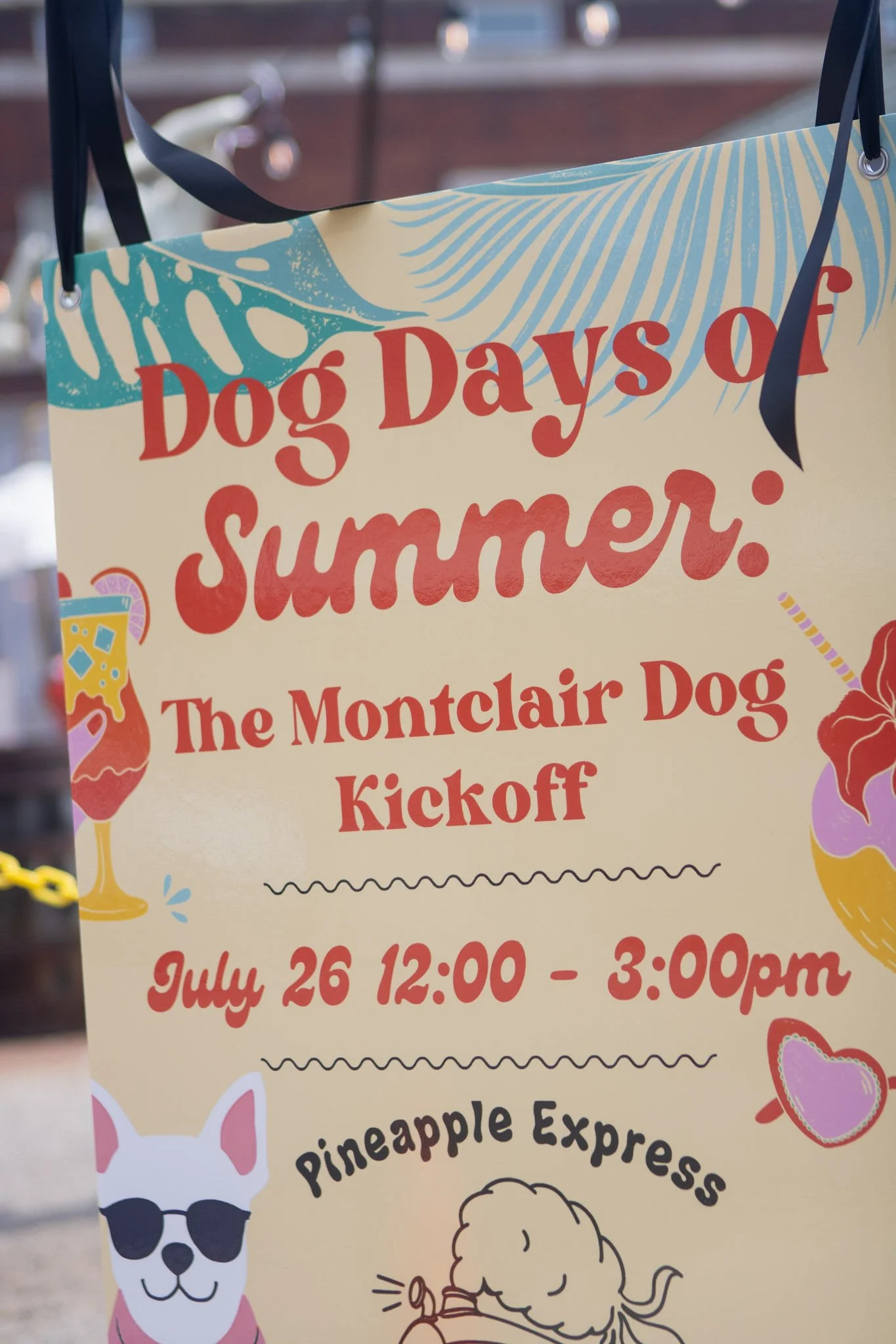 DogDaysOfSummer-002.jpg