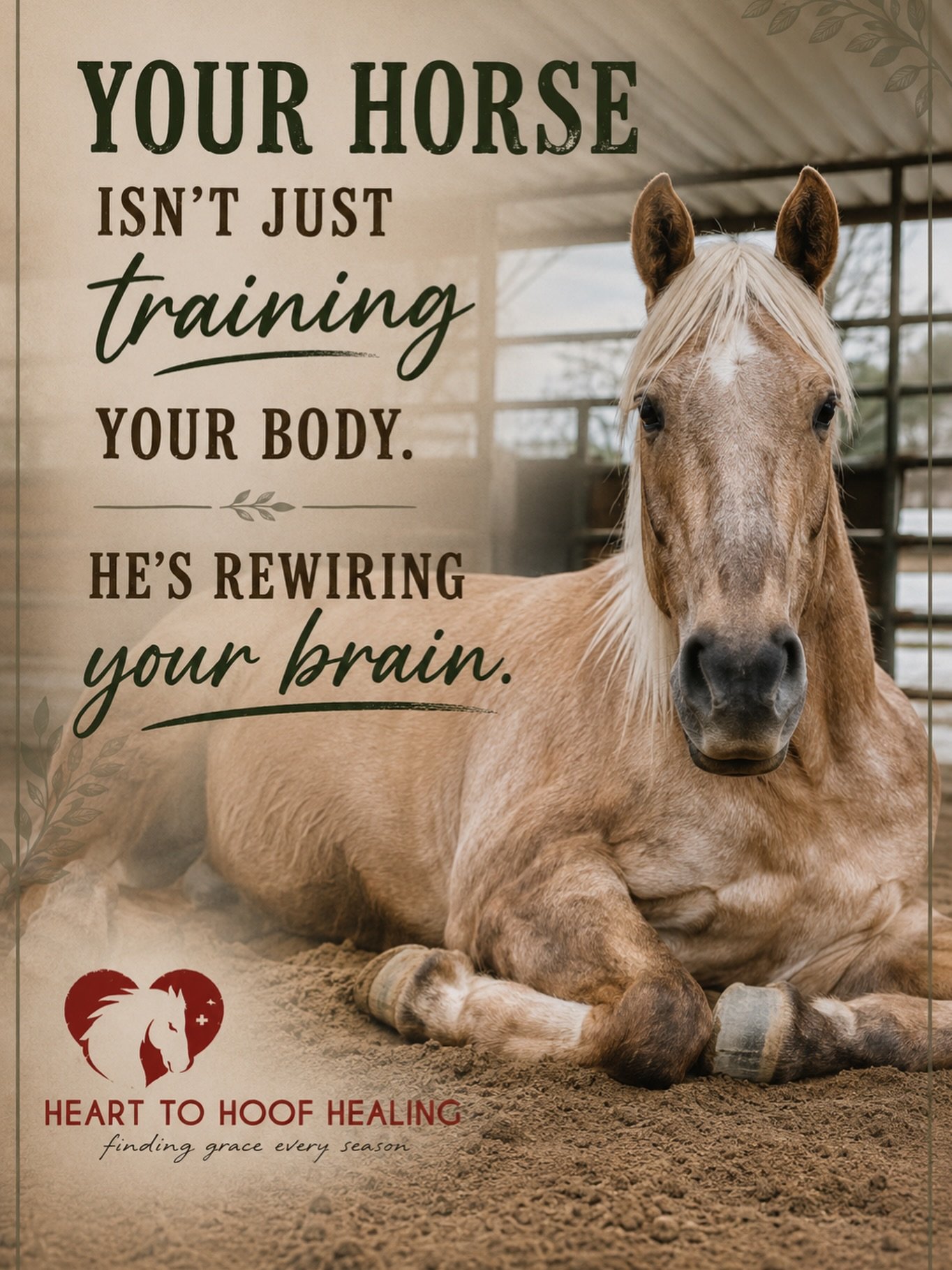 Your horse isn&rsquo;t just training your body&mdash;he&rsquo;s helping regulate your nervous system. 🐴

Horses naturally live in a calm, present state. As prey animals, they&rsquo;re incredibly attuned to the energy around them and respond to subtl