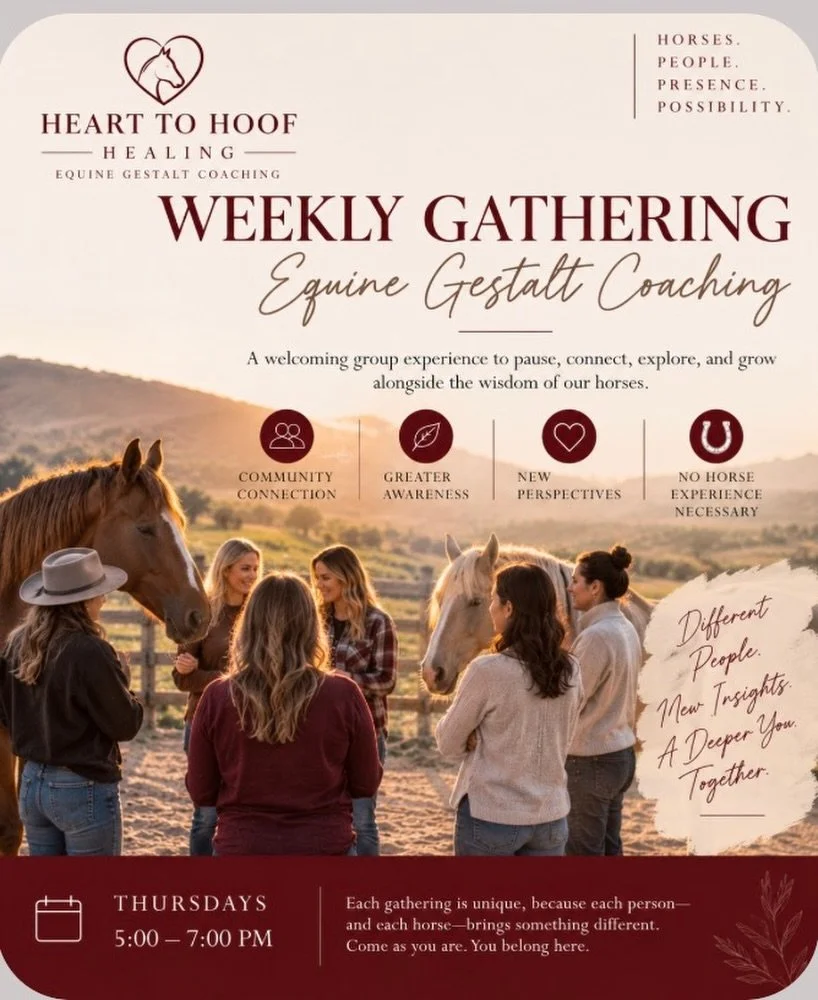 Are You Interested in Gestalt? Curious About Healing Alongside Horses?

There&rsquo;s something powerful about being surrounded by people who understand, in a space where you don&rsquo;t have to explain, defend, or hide what you&rsquo;ve been through