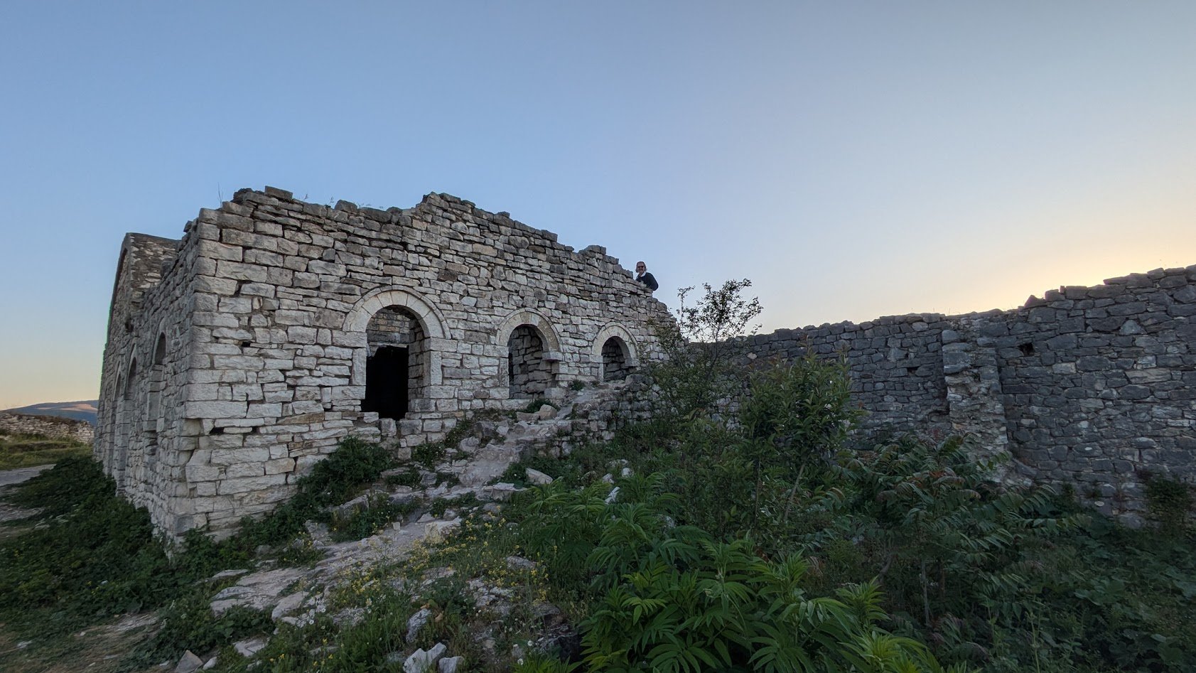 Kala10.jpg