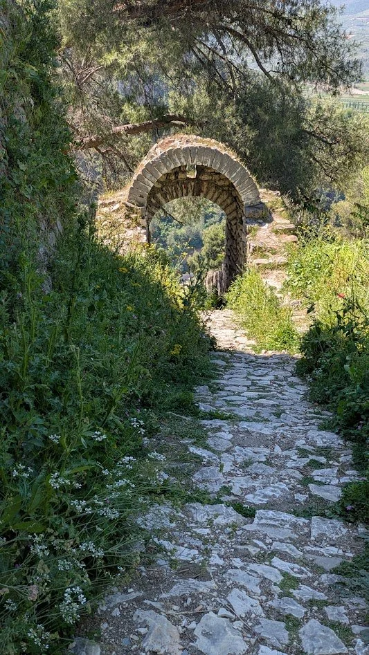 Kala13.jpg
