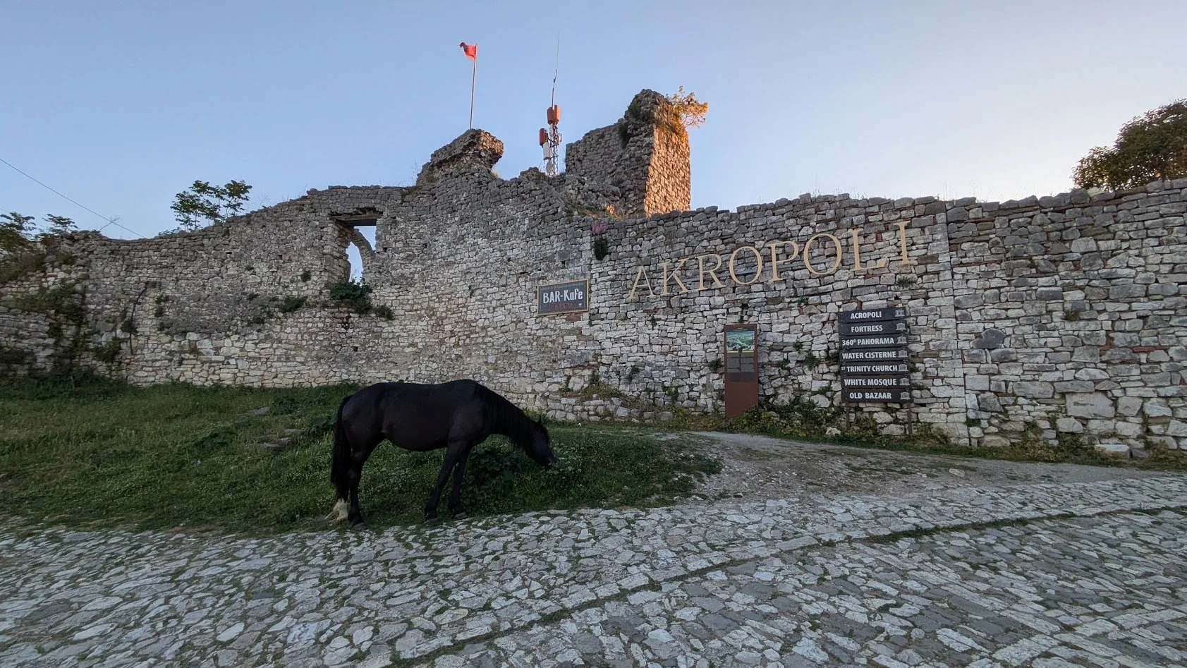 Horse2.jpg