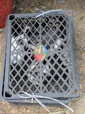 Bunnies - sold in the market as food :(