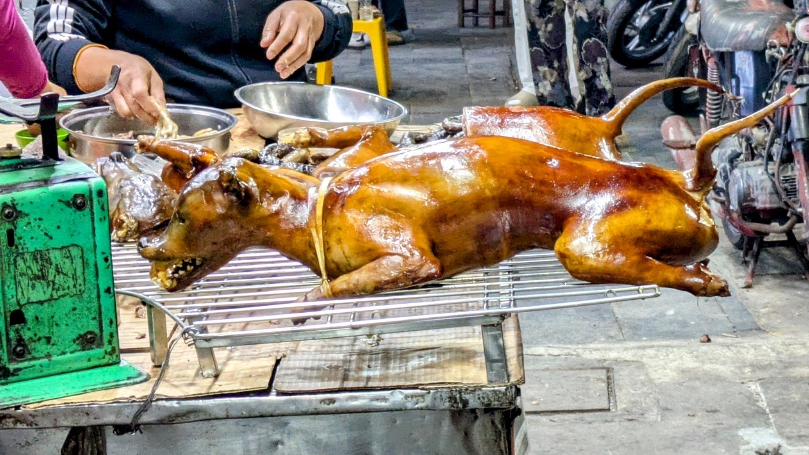 Thịt Chó (dog) - Yep, people eat dog meat in Hanoi. It's a diminishing practice, but there it is in the photo... at a street vendor. There is growing local opposition, but vendors and consumers still exist, especially among older generations, though 