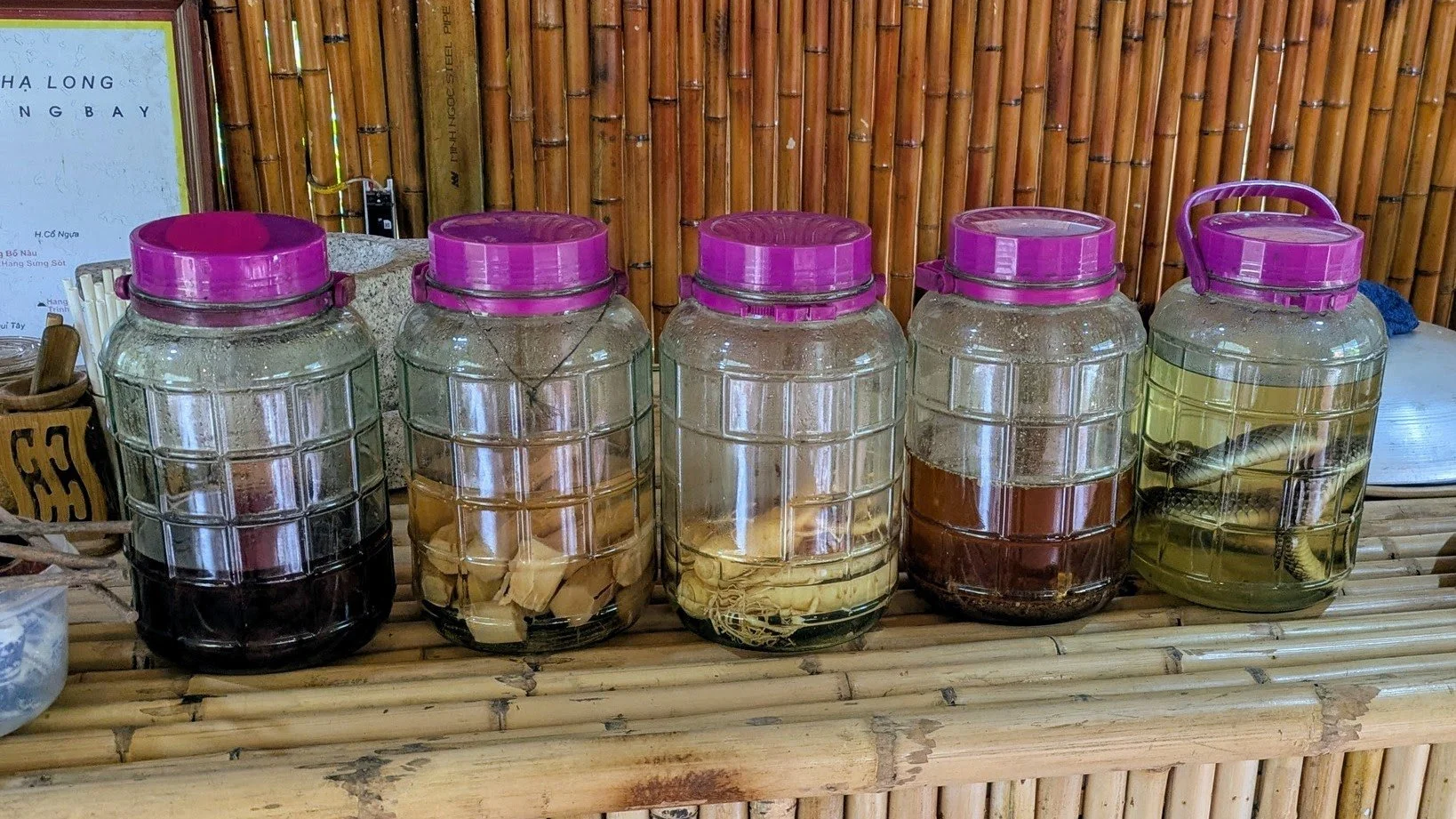 Vietnamese rice wine is like moonshine! It's a traditional, potent distilled spirit made from fermented rice, commonly containing 20% to 50% alcohol by volume (ABV). It is a staple of Vietnamese culture. They infuse different things into it... fruit,