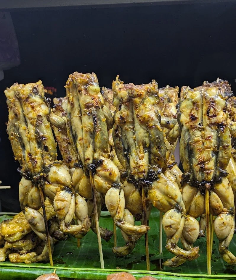 Frog - Skewered and grilled and sold by street vendors. YUK