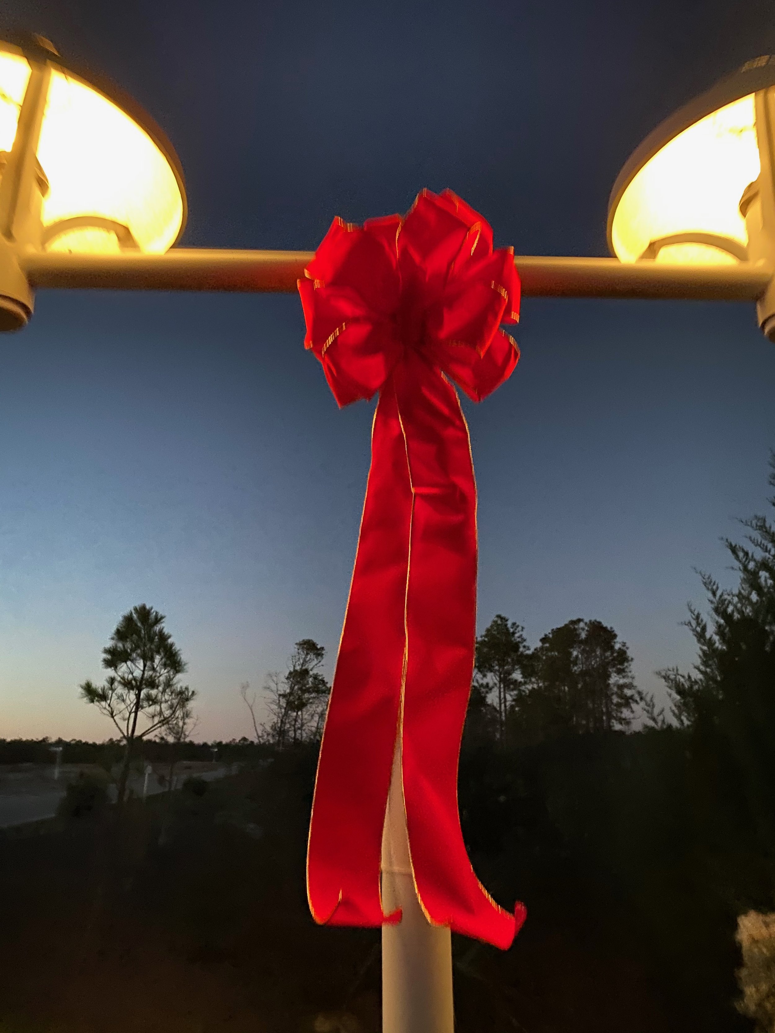 Red bow on light post.jpeg