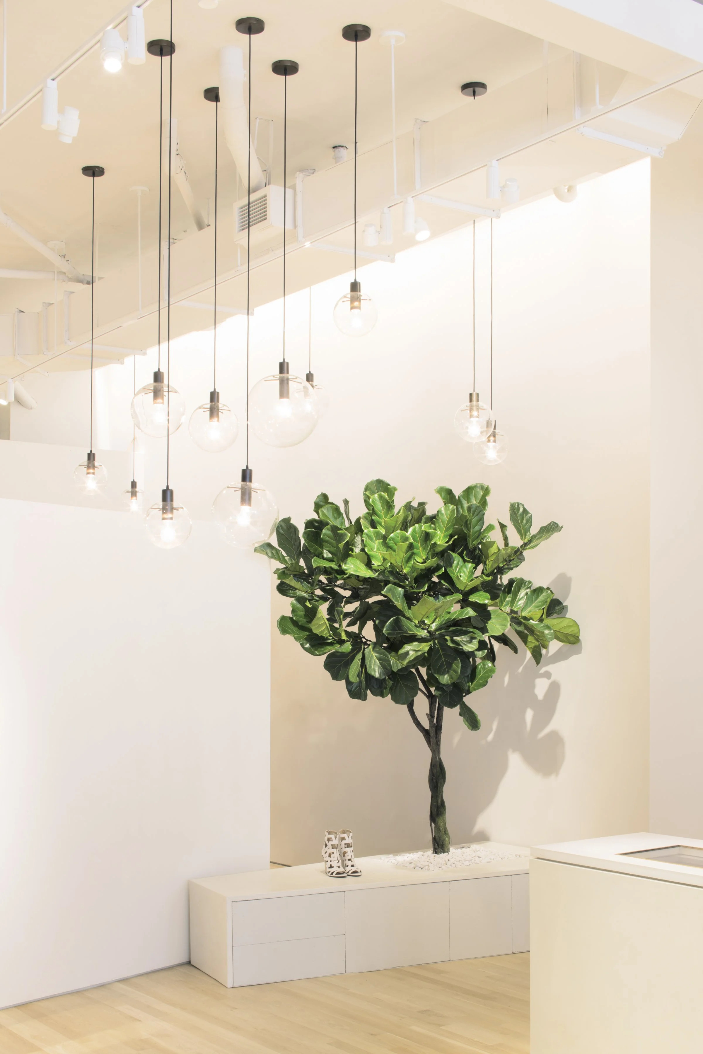 Cluster of hanging pendant lights above a fiddle-leaf fig tree in a Maiyet display nook