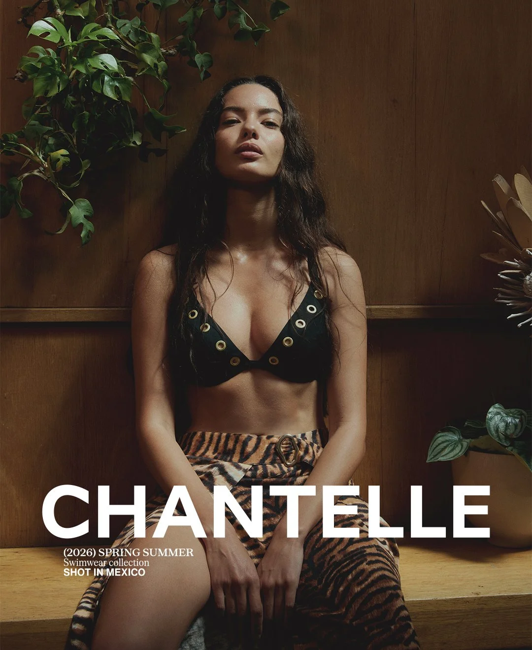 Copia de CHANTELLE 2.jpg