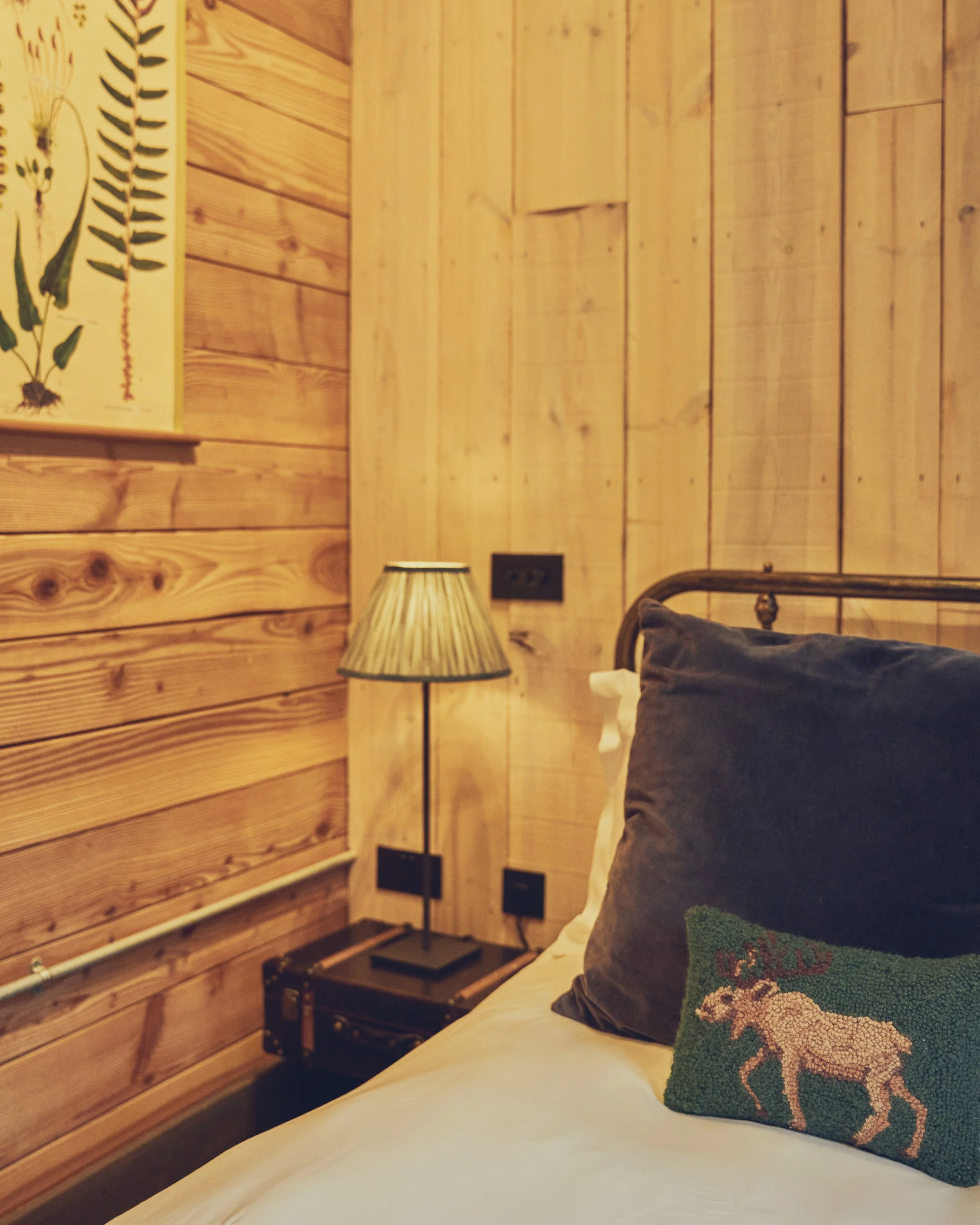 231106_Cabu_killykeen 276.jpg