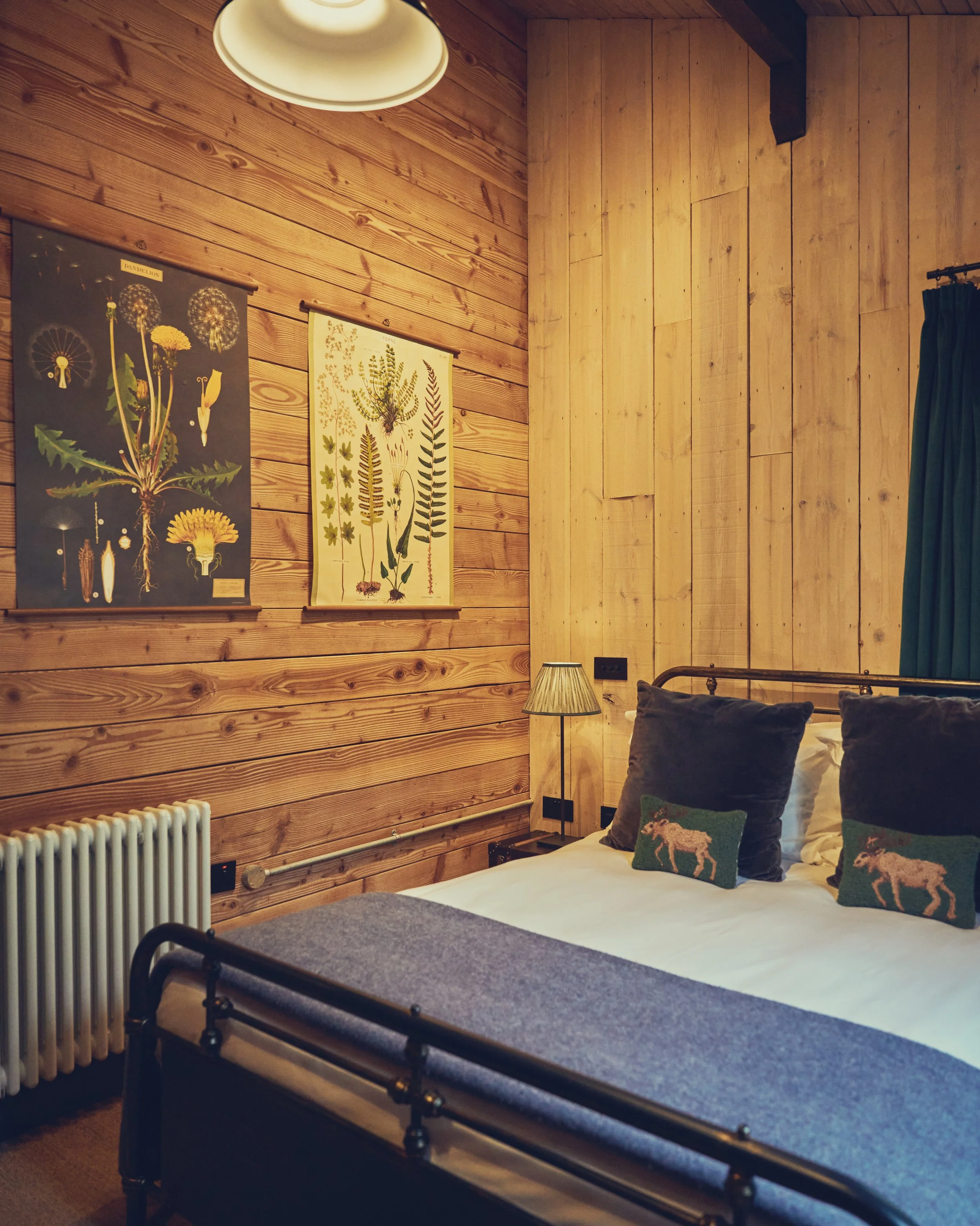 231106_Cabu_killykeen 273.jpg