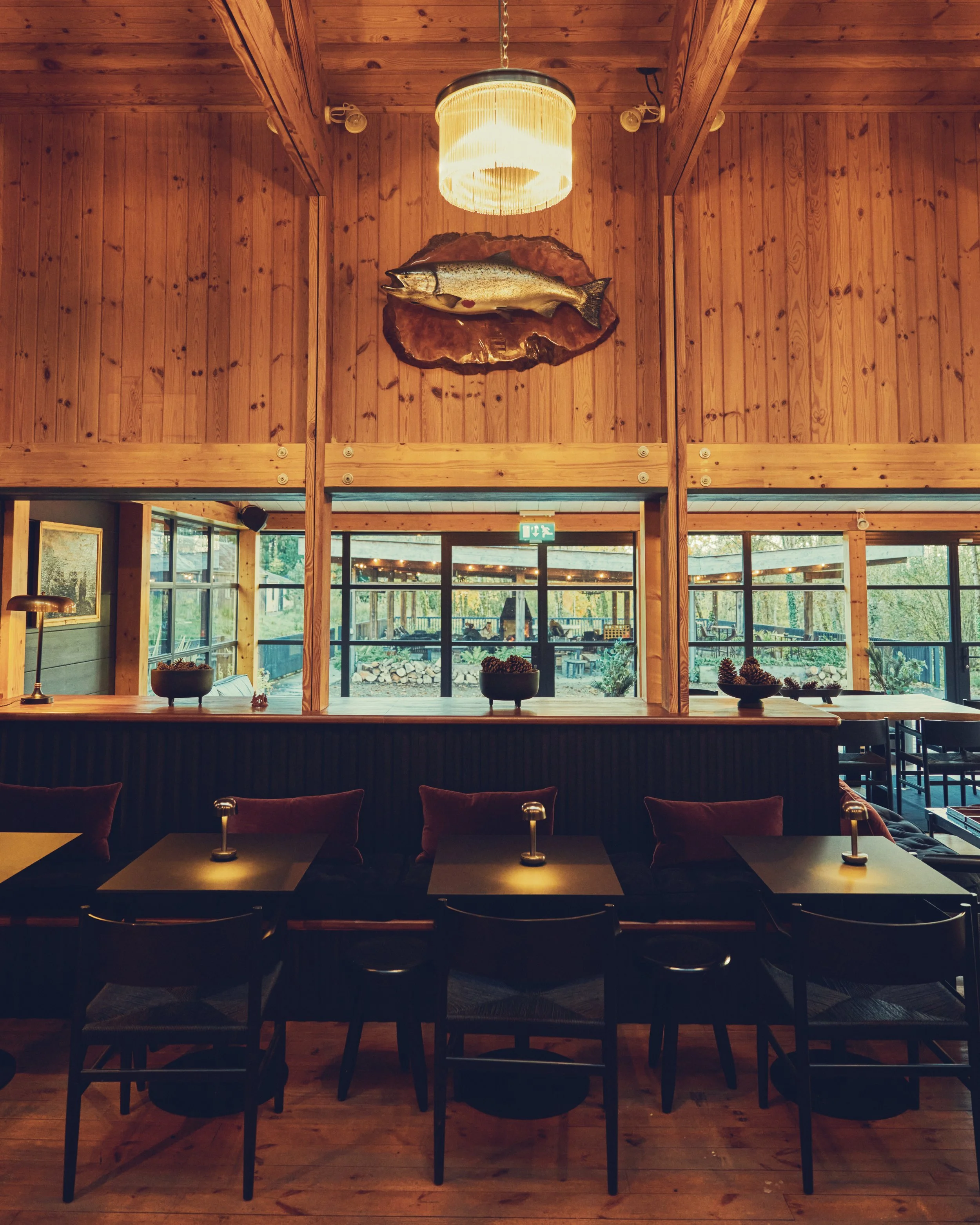 231106_Cabu_killykeen 514.jpg