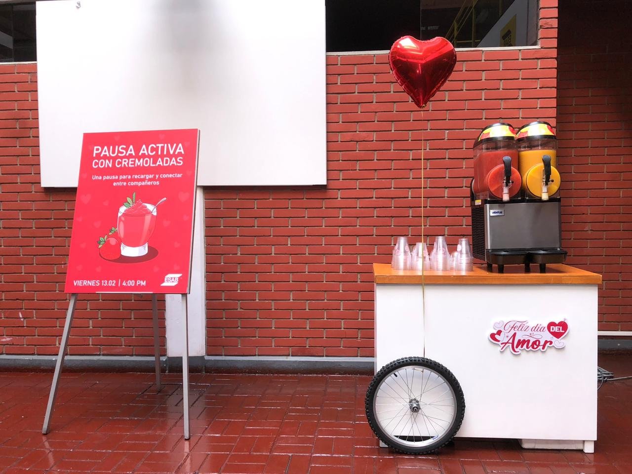 WhatsApp Image 2026-02-13 at 15.36.00.jpeg