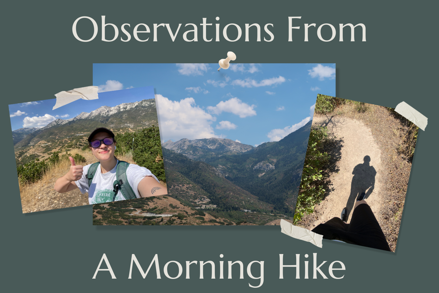 Observations From a Morning Hike