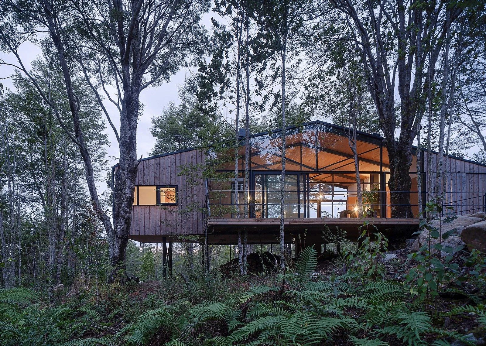 WhatsApp Image 2025-12-03 at 17.12.33 (4).jpeg