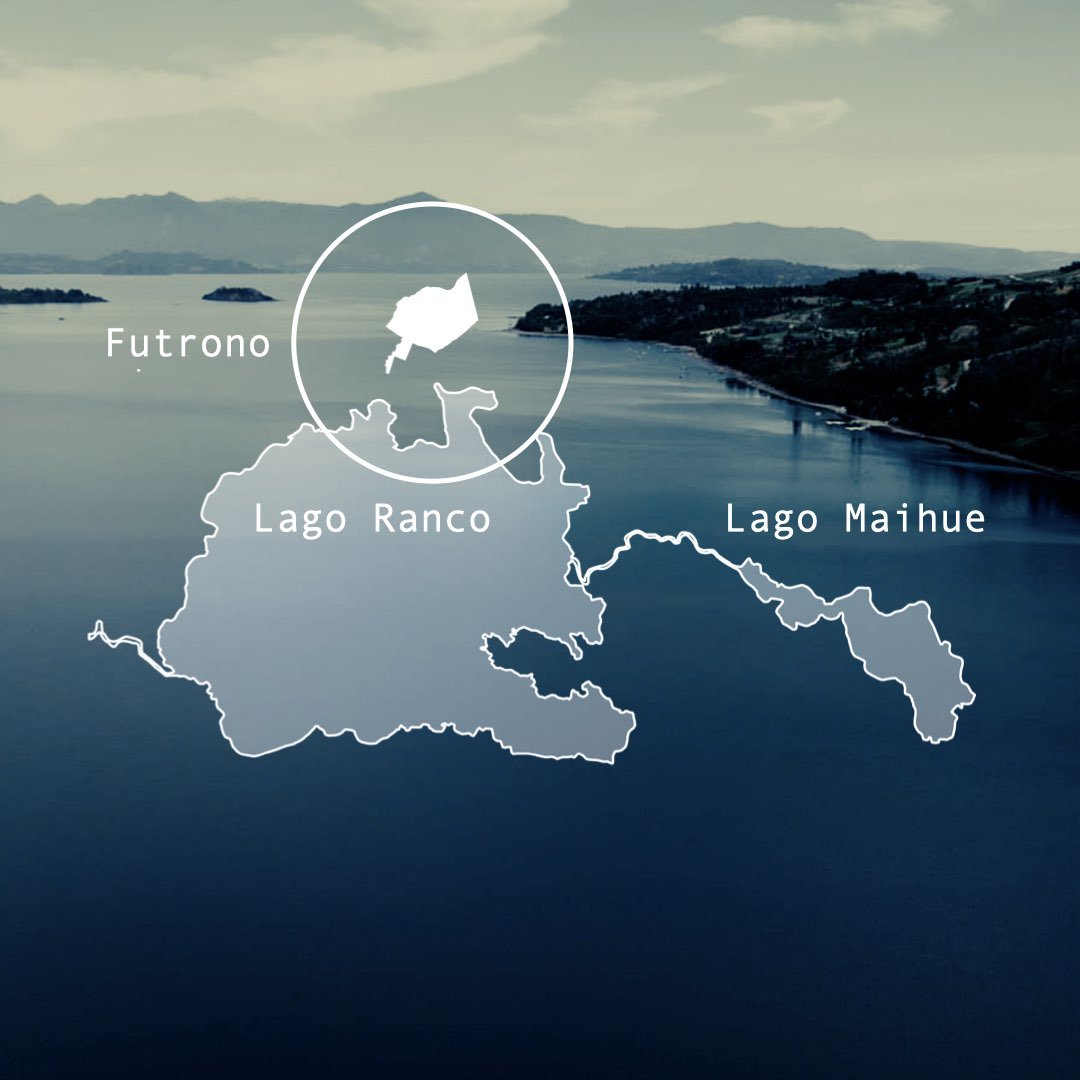 ESQ CUADRADOS.001.jpeg