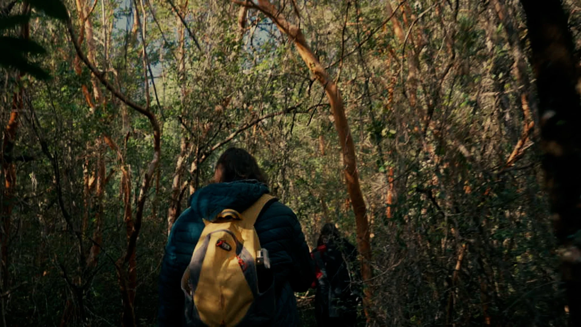 LS_1.1.00_01_53_00.Imagen fija007.jpg