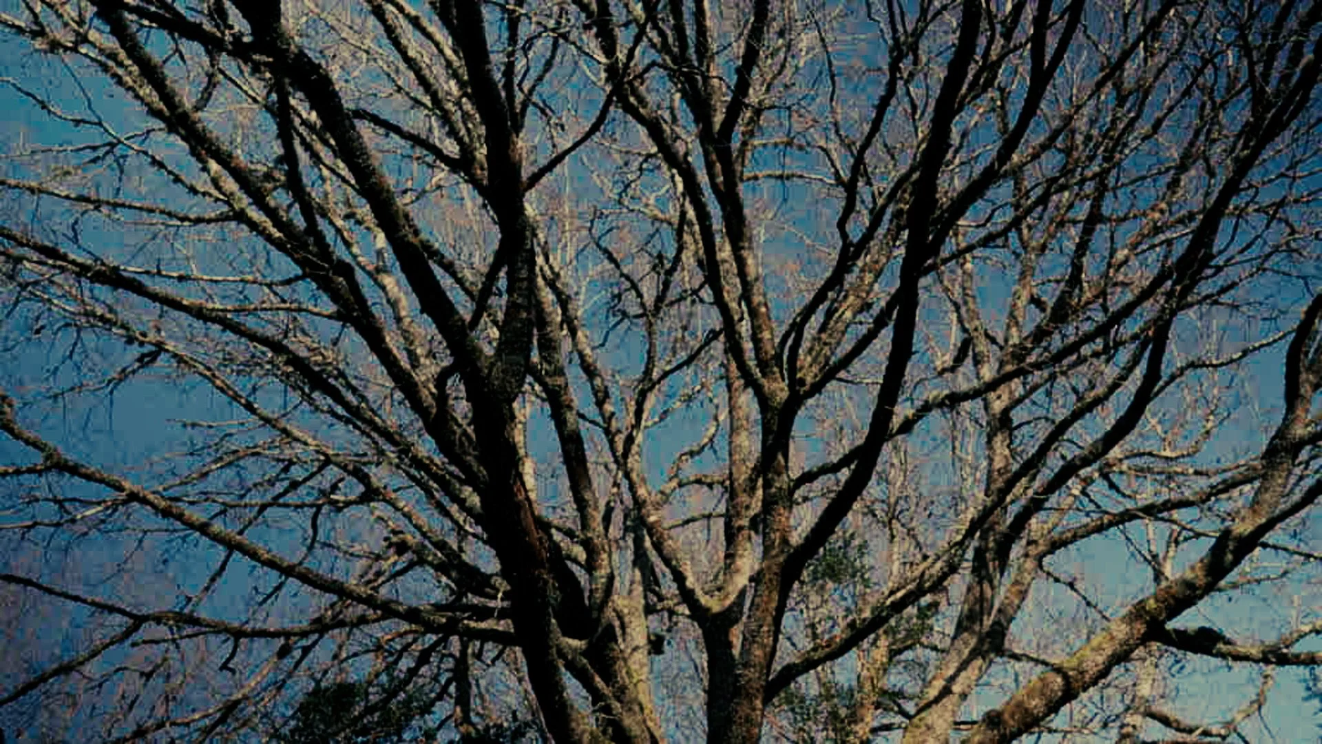 LS_1.1.00_04_12_12.Imagen fija010.jpg