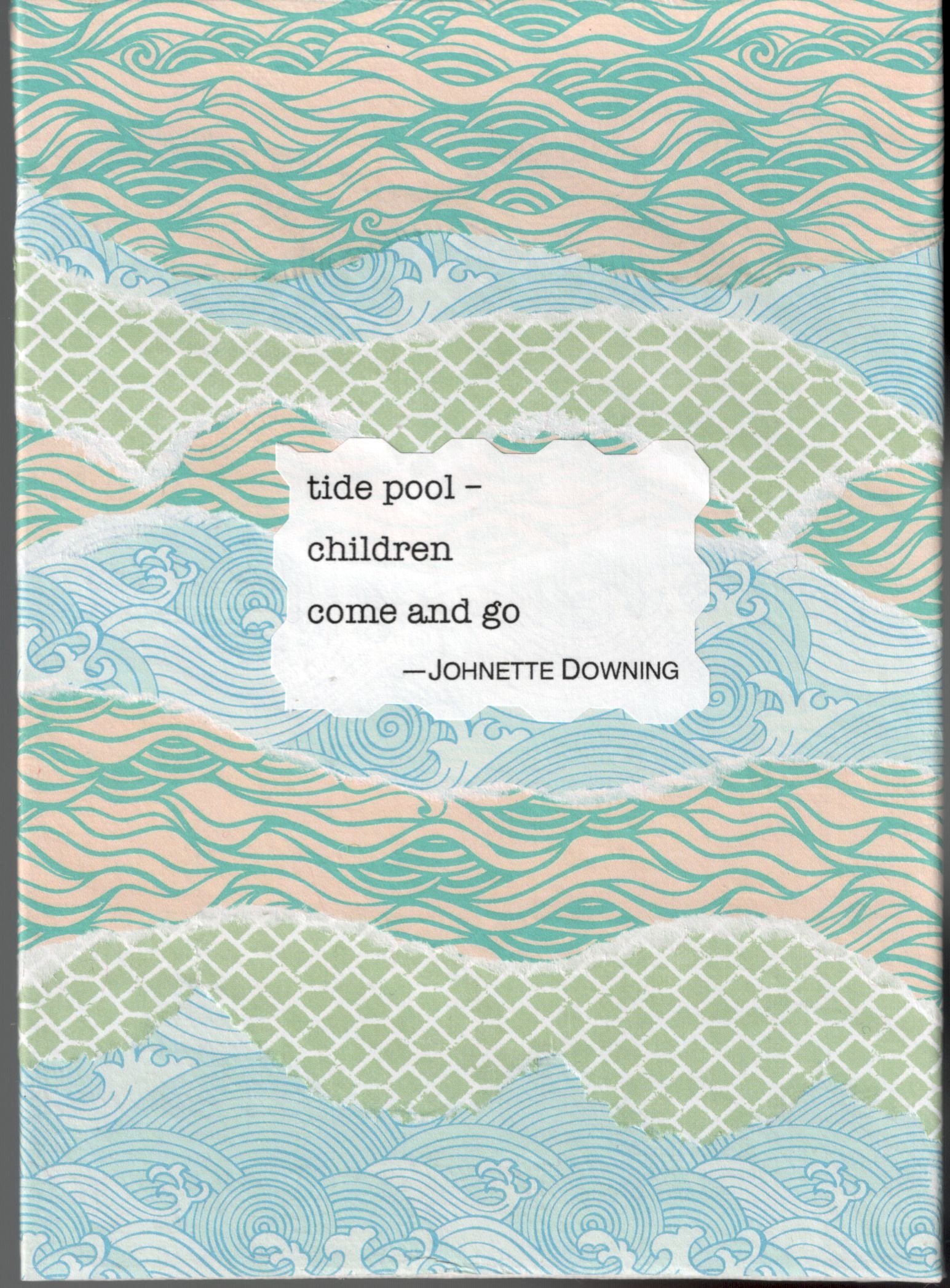 tide pool - Johnette Downing 2.jpeg