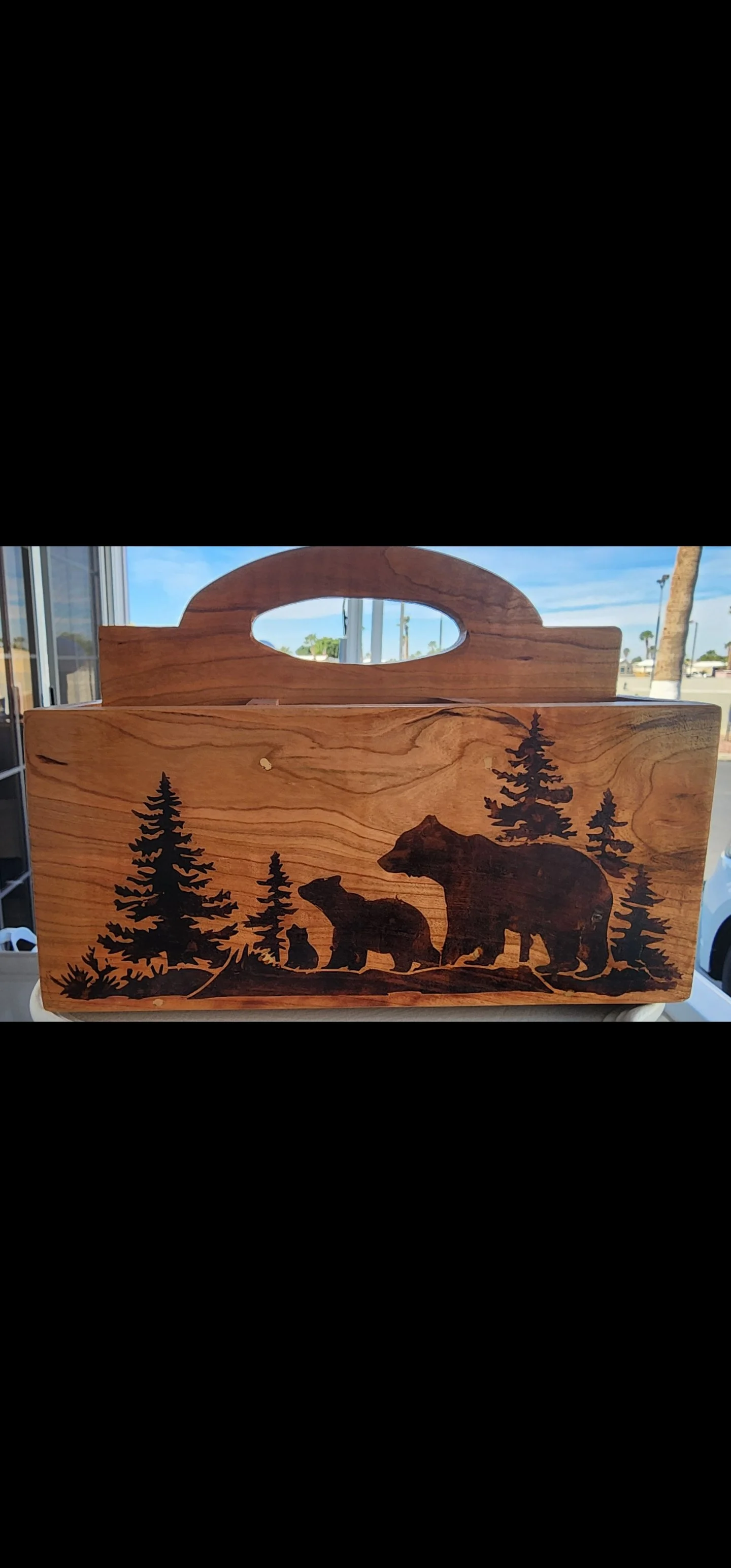 Silverware and plate caddy