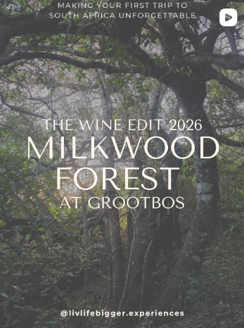 A unique nature experience at Grootbos Private Nature Reserve, surrounded by South Africa’s ancient Milkwood forest.